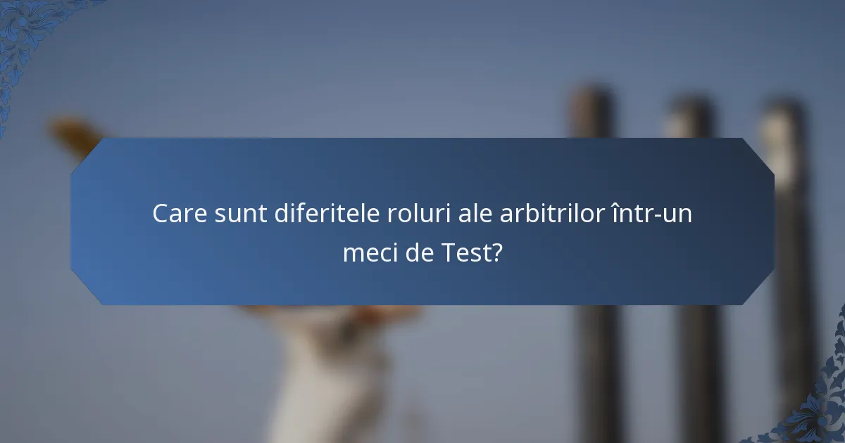 Care sunt diferitele roluri ale arbitrilor într-un meci de Test?