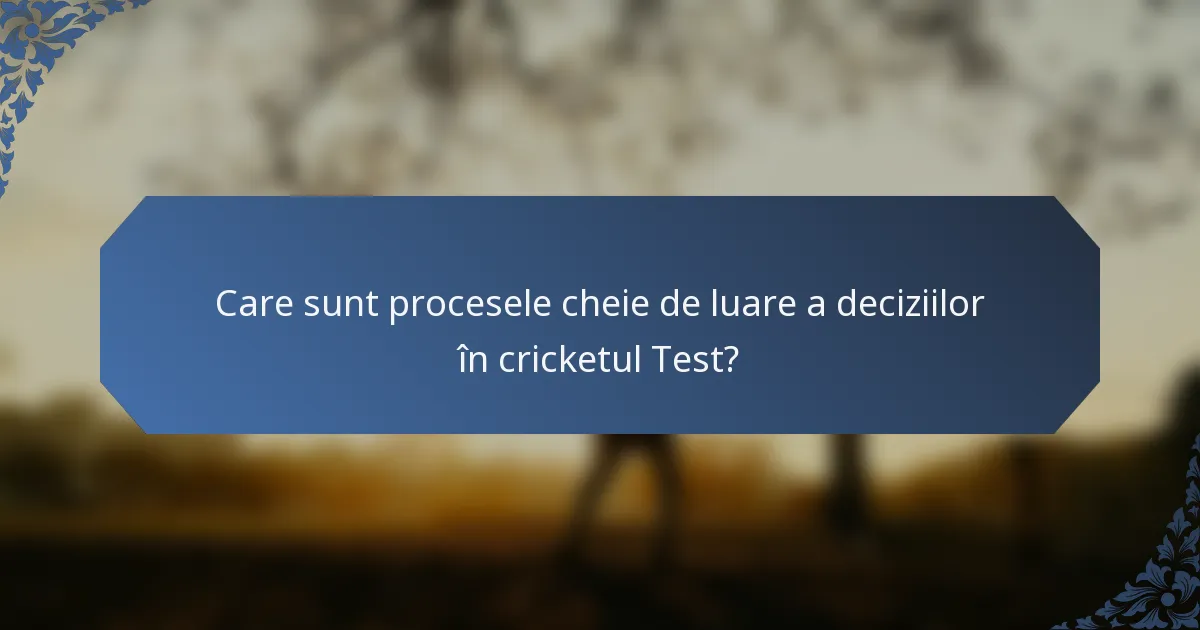 Care sunt procesele cheie de luare a deciziilor în cricketul Test?