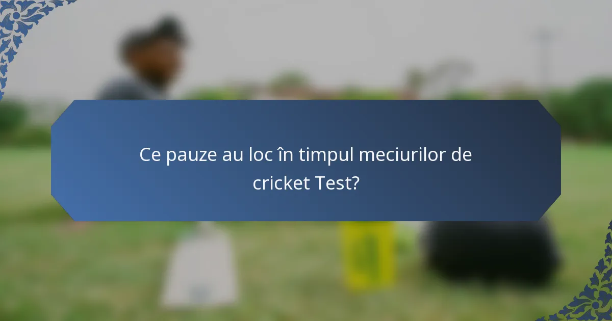 Ce pauze au loc în timpul meciurilor de cricket Test?