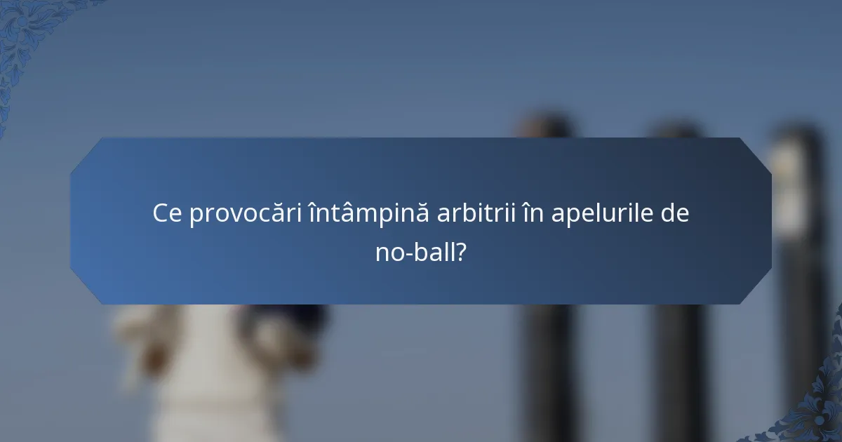Ce provocări întâmpină arbitrii în apelurile de no-ball?