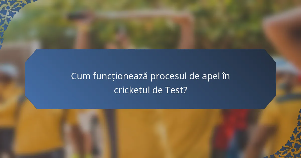 Cum funcționează procesul de apel în cricketul de Test?