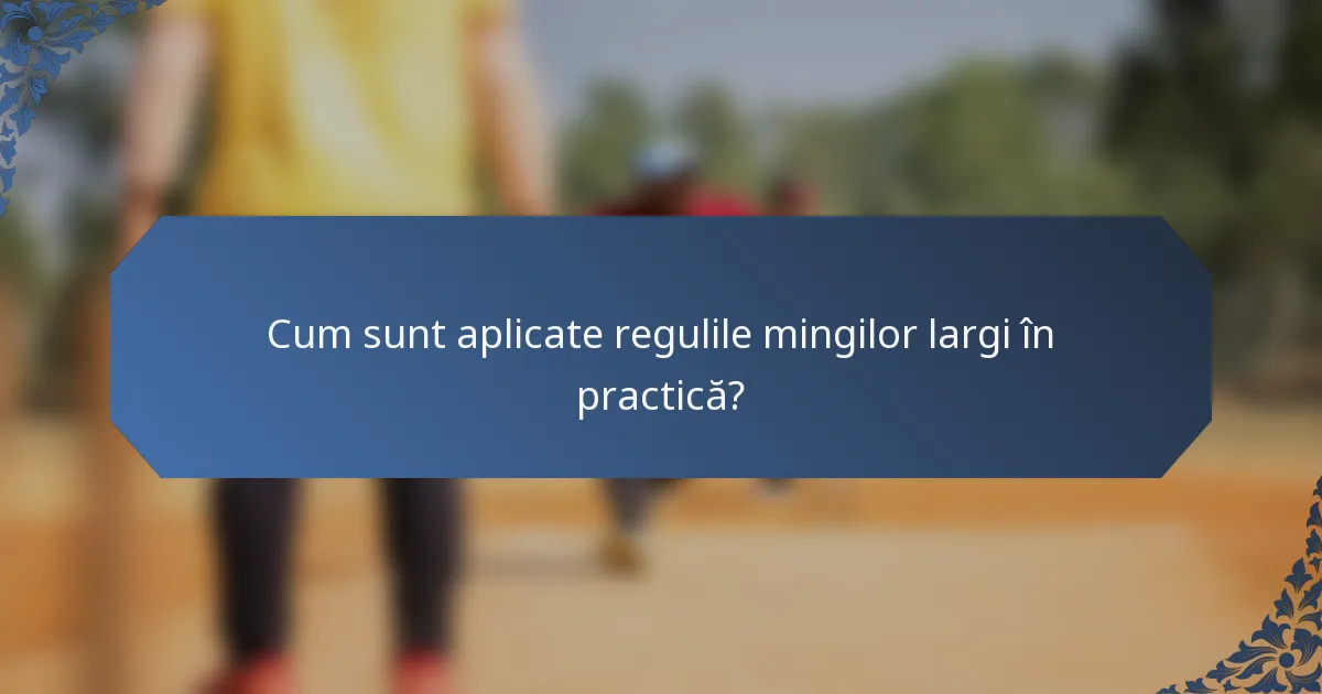 Cum sunt aplicate regulile mingilor largi în practică?