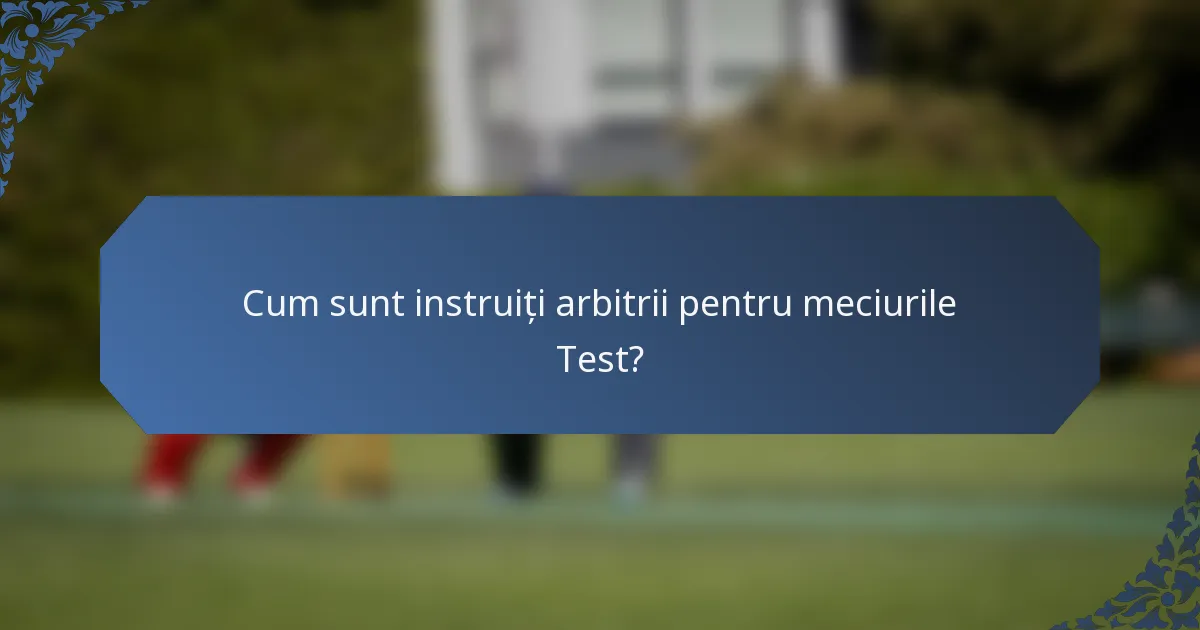 Cum sunt instruiți arbitrii pentru meciurile Test?