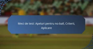Meci de test: Apeluri pentru no-ball, Criterii, Aplicare